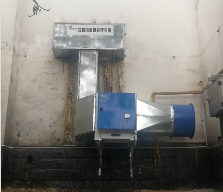 森吉風(fēng)油煙凈化器 森吉風(fēng)油煙凈化器