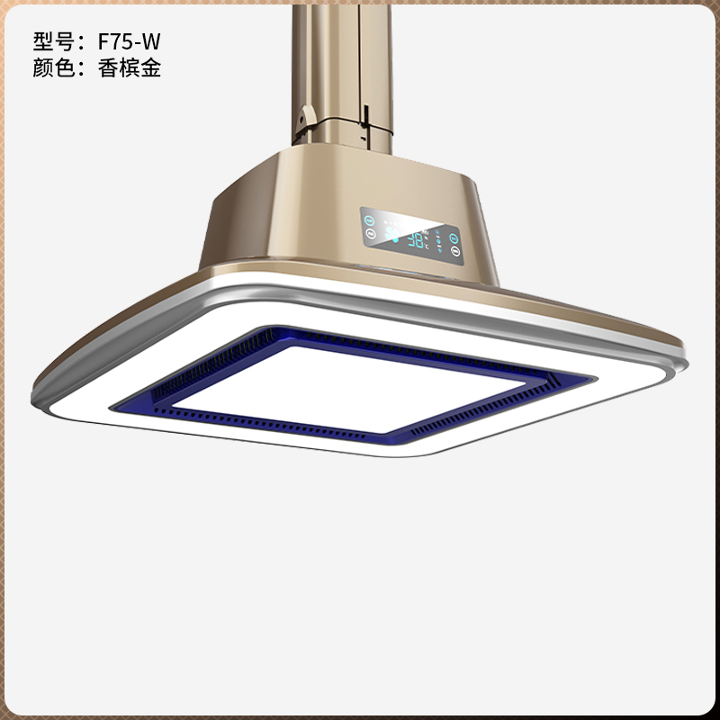 直排吸煙燈香檳金F75-W